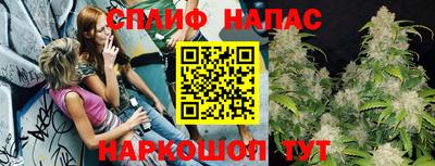 твердый Новодвинск