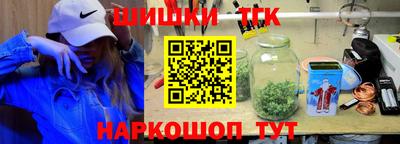 крисы Новокубанск
