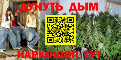 крисы Новокубанск
