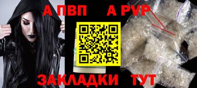 крисы Новокубанск