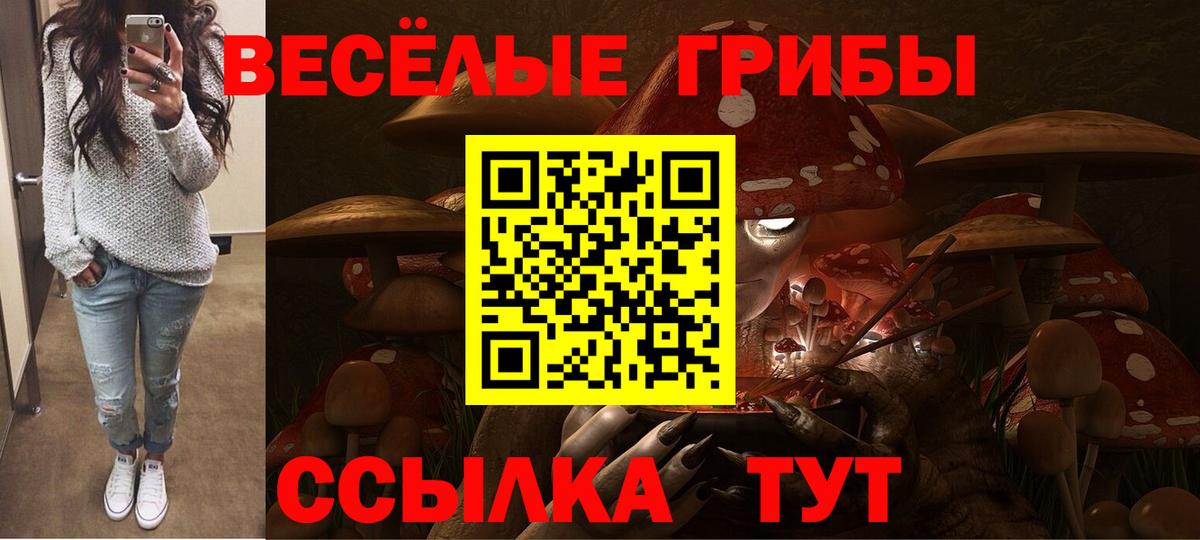 Псилоцибиновые грибы Magic Shrooms Псков