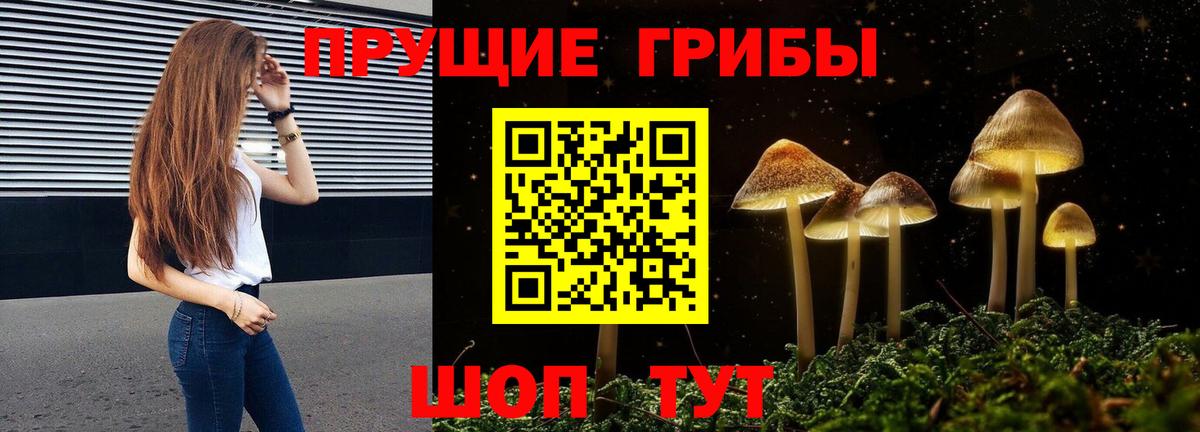 Псилоцибиновые грибы ЛСД  даркнет сайт  Псков  Псилоцибиновые грибы GOLDEN TEACHER  Вход с VPN 